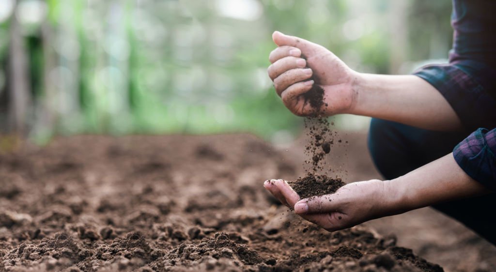 Explore our Compost Yard, where organic waste is converted into nutrient-rich Organic Manure, promoting sustainable agriculture."